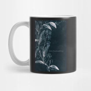 Cyanotype - Smilax Pseudosyphilitica - C Mug